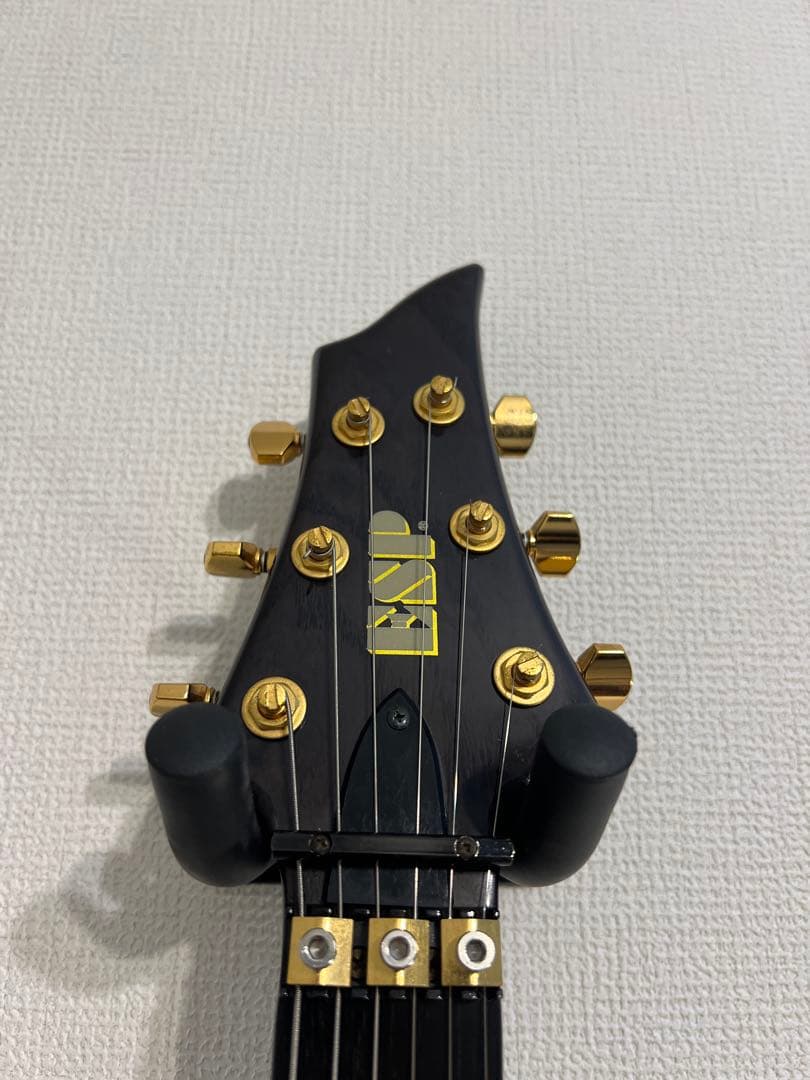 ESP Forest-GT 2002年製　シースルーブラック