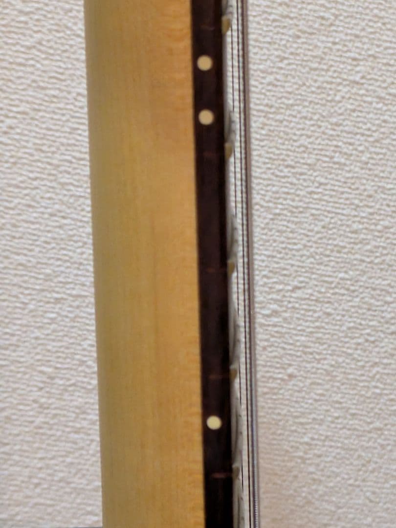 PRS SE CE24 エレキギター ピックアップ交換