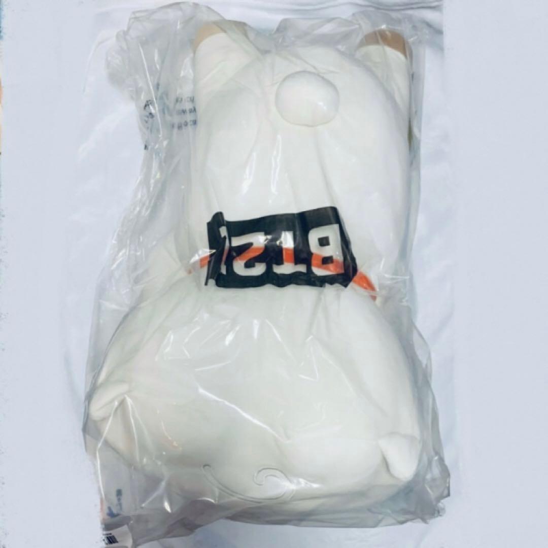 BTS bt21 ベビー スーパーピロークッション RJ TATA