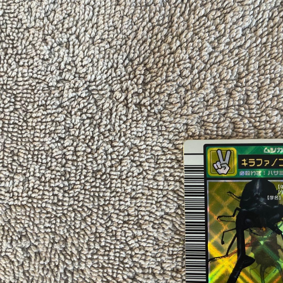 キラファノコギリクワガタ