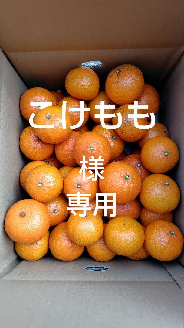 津之輝20㎏(家庭用)こけもも