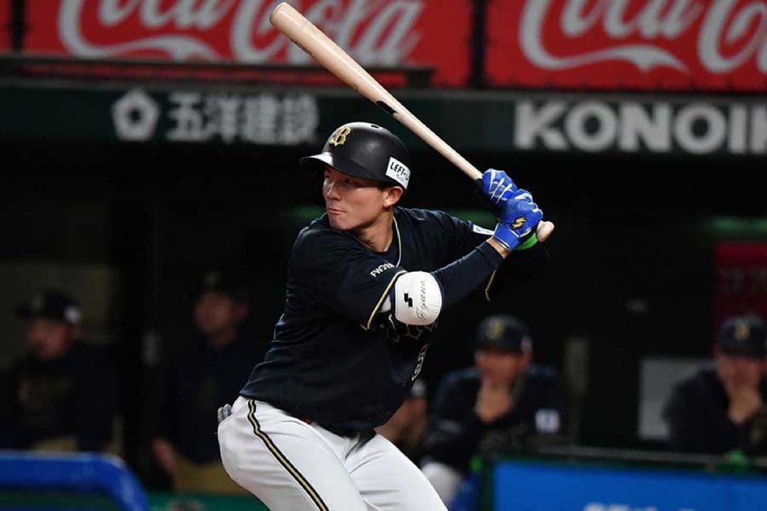 オリックス・バファローズ　茶野篤政 #61　バット NPBマーク 支給品　実使用