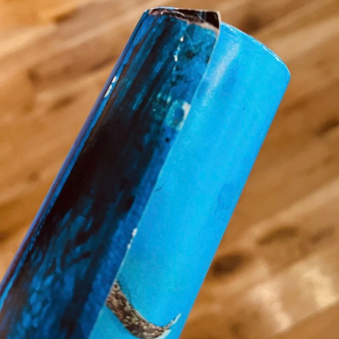 【サイン】SHINRO OHKAKE No.65 ポスター大竹伸朗 タケニナガワ