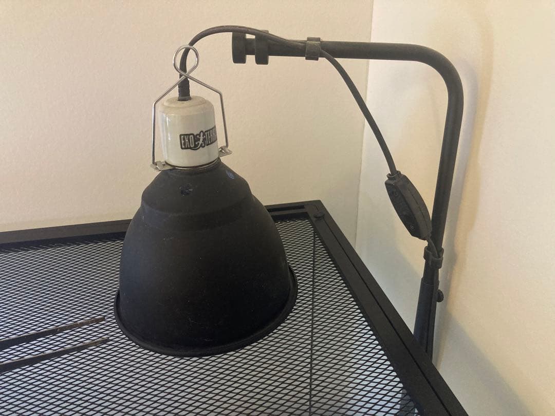 大幅値下げ！爬虫類　ケージセット　レインフォレストタンク