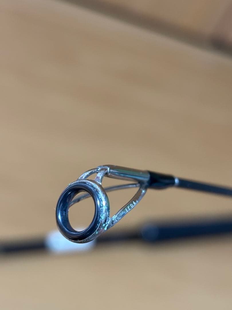 【LUXXE】SALTAGE チータRR 96XH