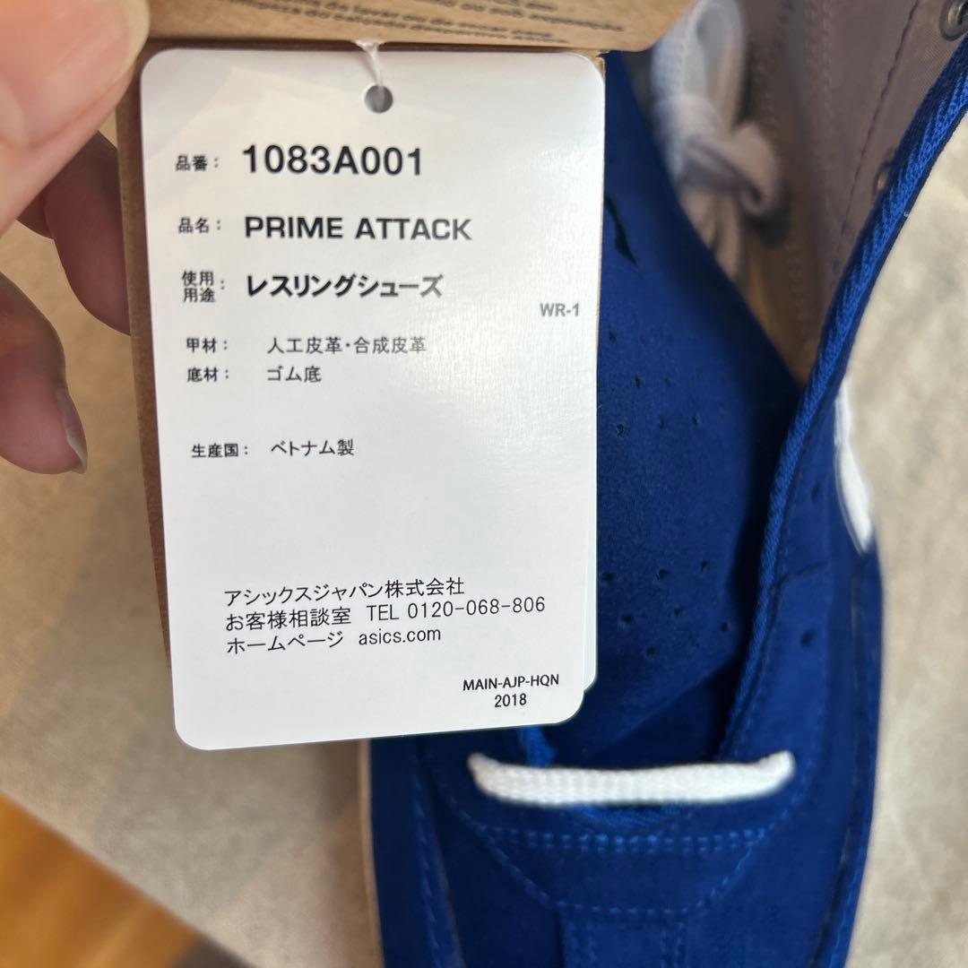 アシックス ボクシング/レスリングシューズ 29.0cm ブルー ホワイト