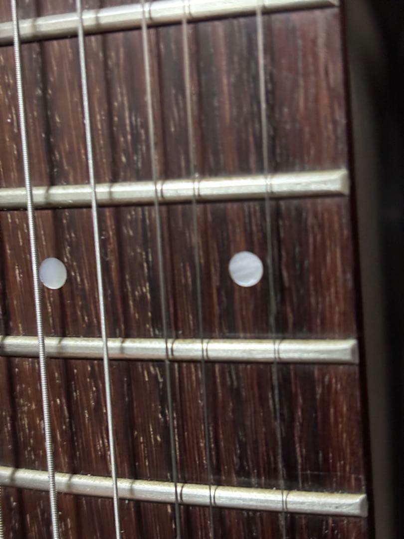 FERNANDES FR-65 ジャンク