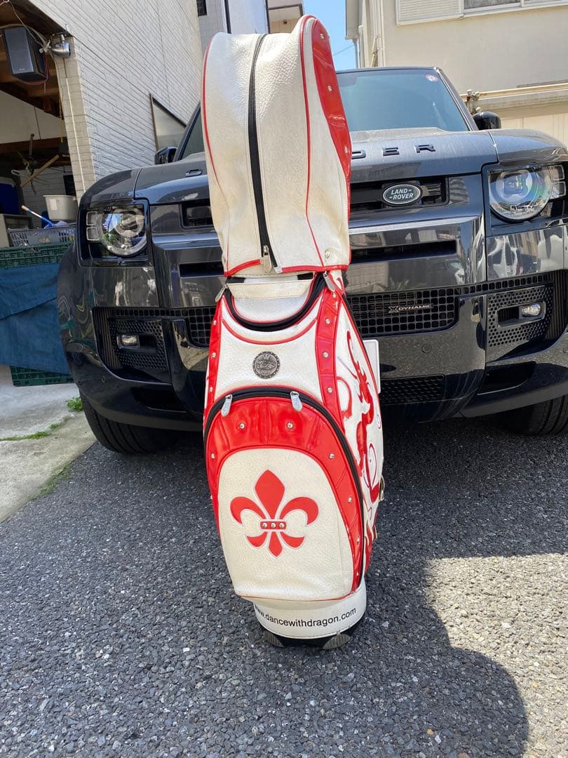 ダンスウィズドラゴン