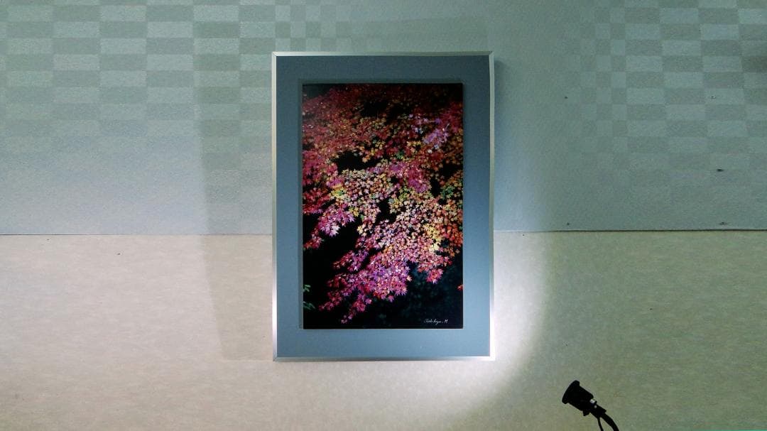 芸術写真 Miyabi  /  H,Murayama   106cm X 75cm