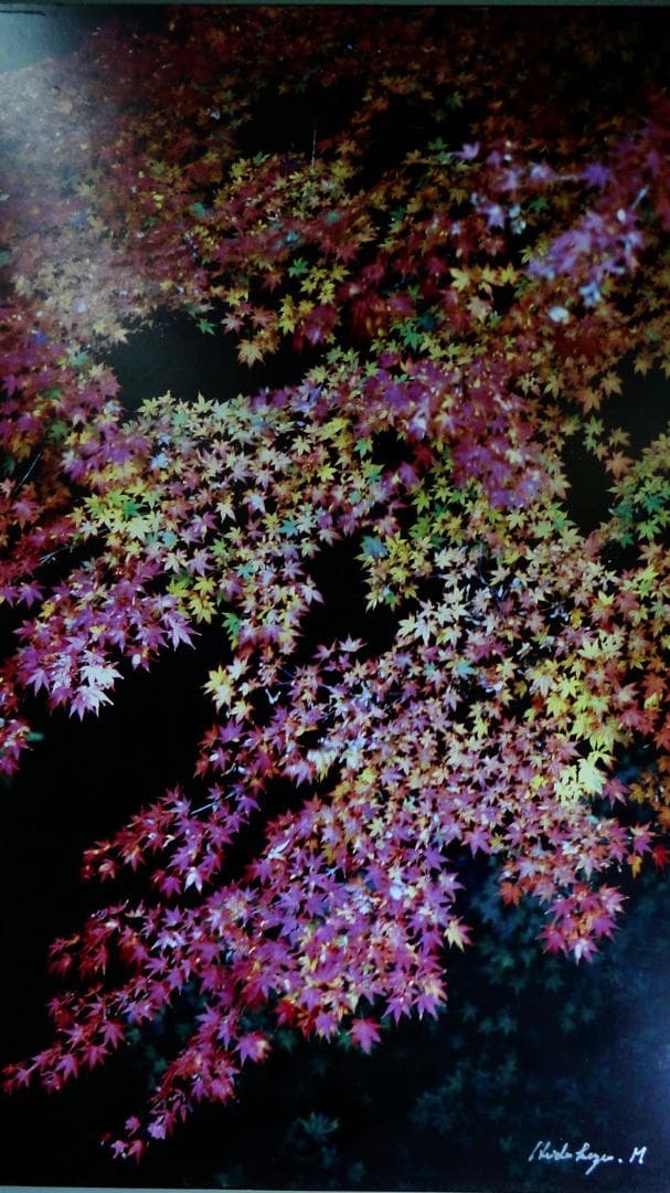 芸術写真 Miyabi  /  H,Murayama   106cm X 75cm