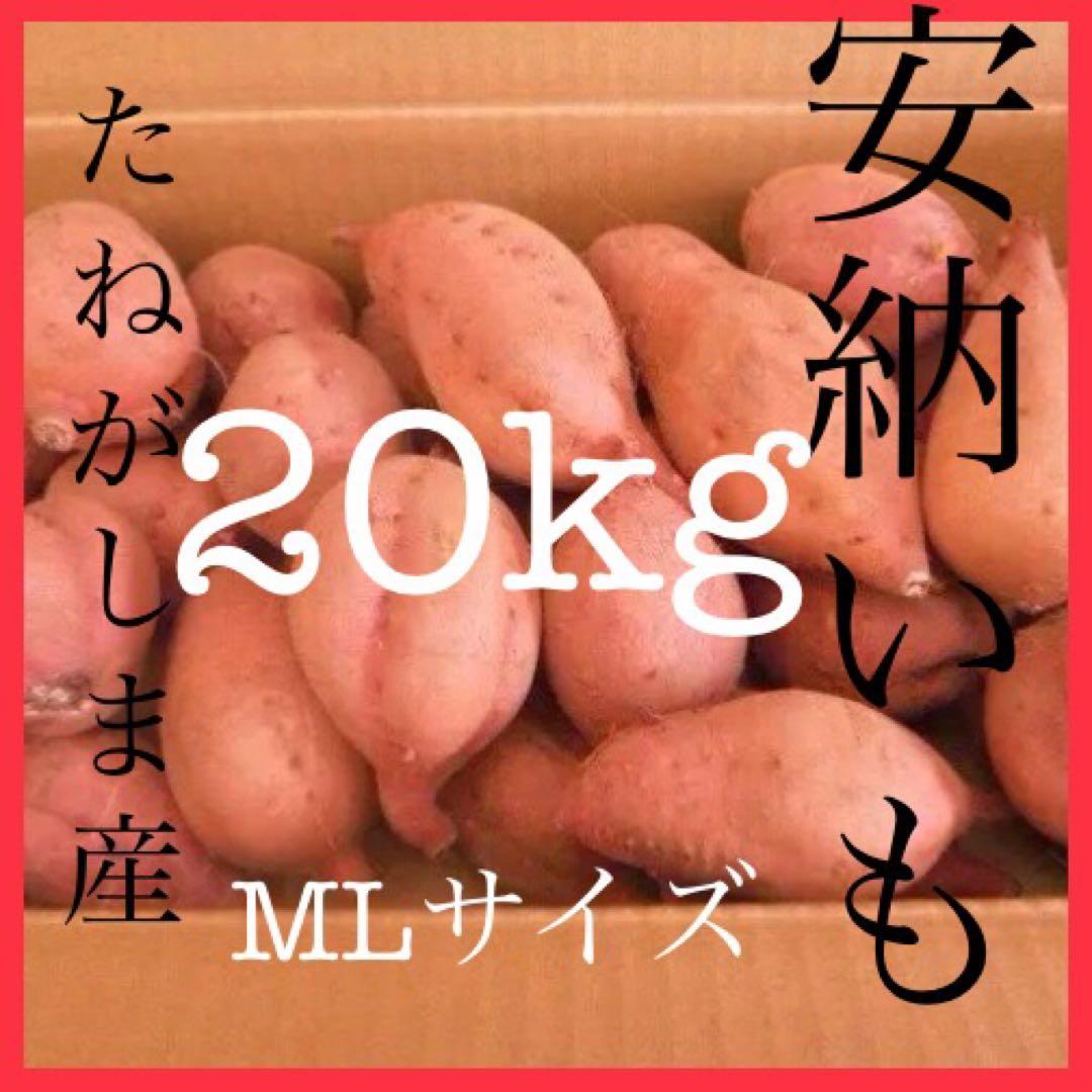 種子島産安納芋　MLサイズ20kgさつまいも王道 焼き芋にどうぞ　#00