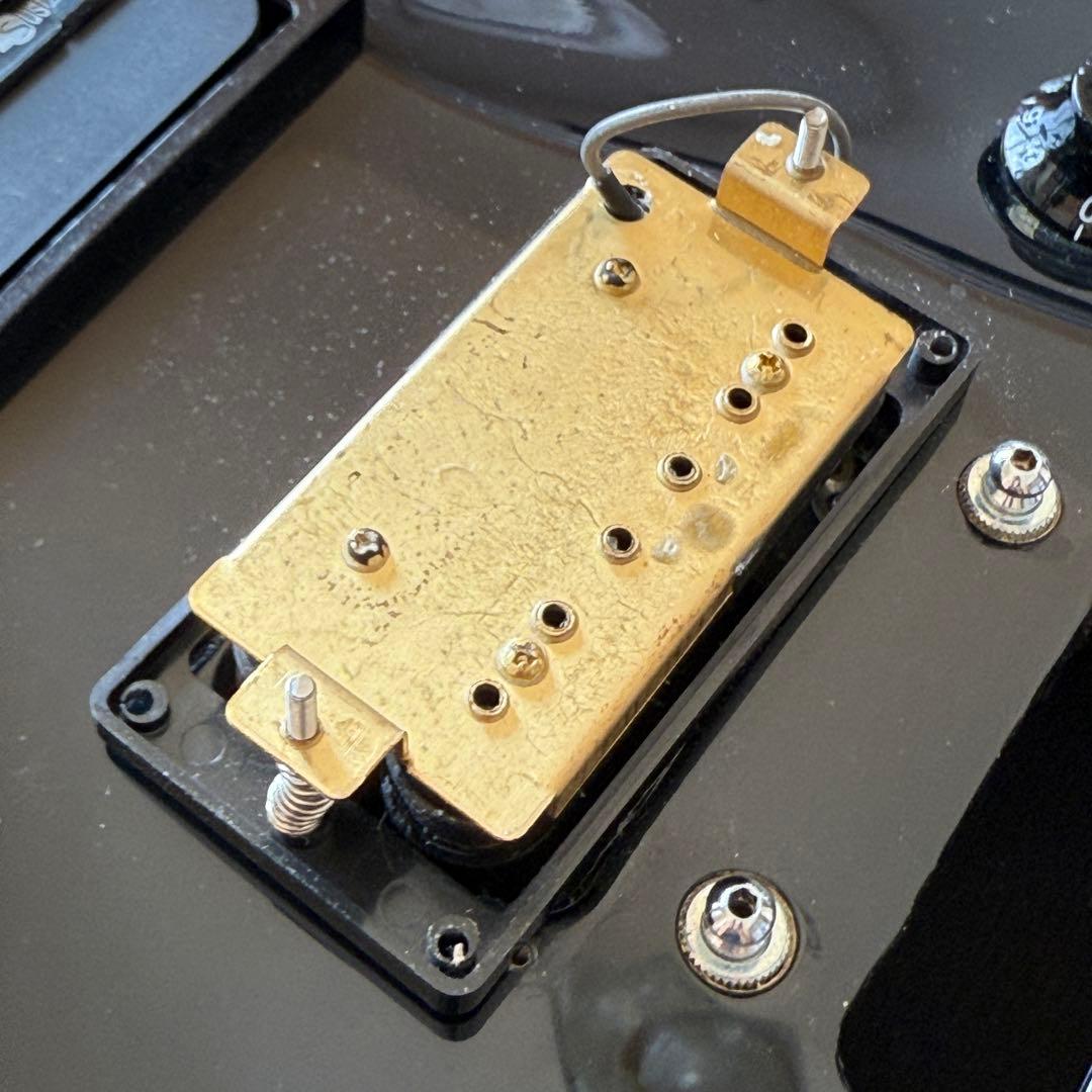 Fernandes APG-DLX JPC フルモードサスティナー 24フレット