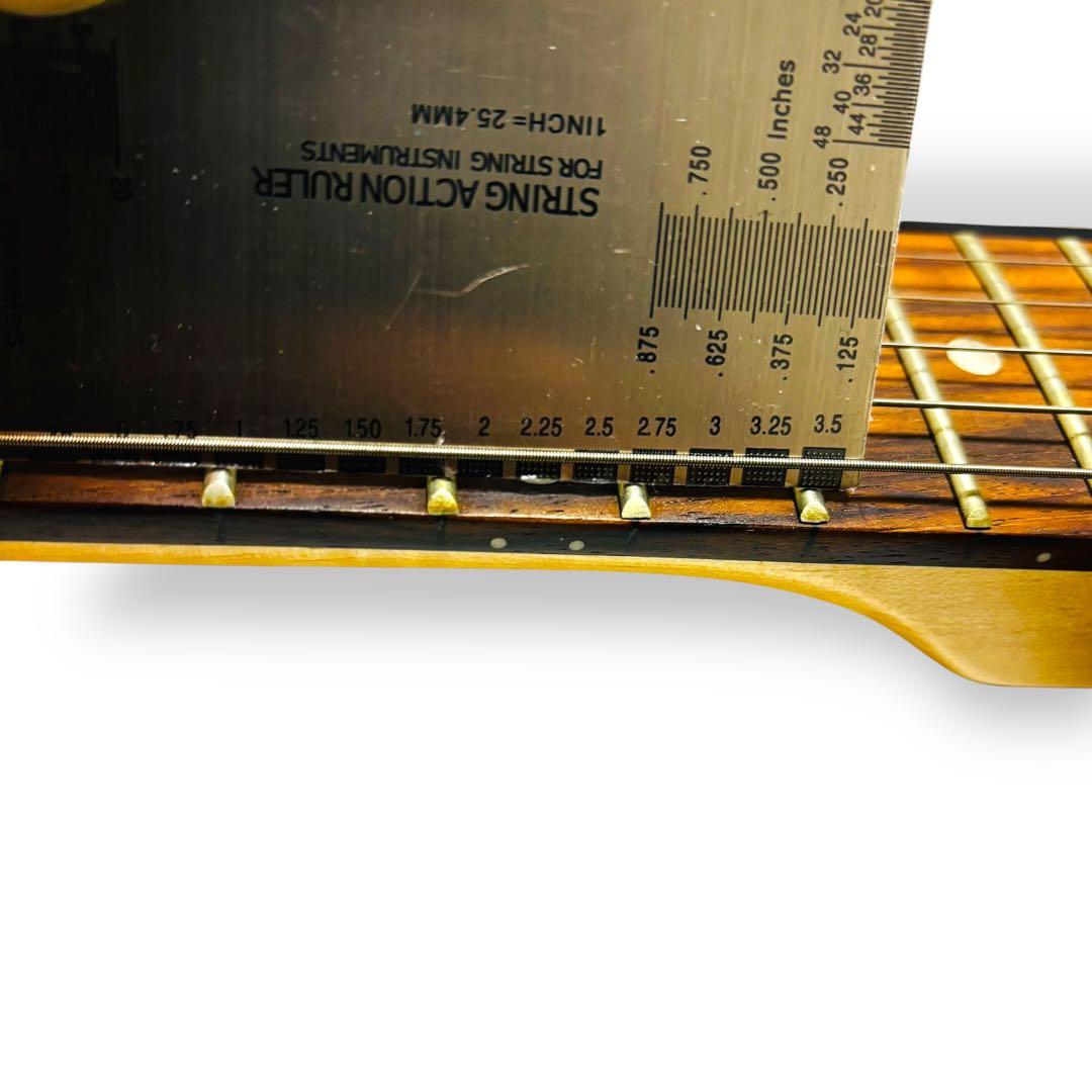 【希少な純正ケース付】ジプシーローズ エレキギター ラメ入 女性向けギター