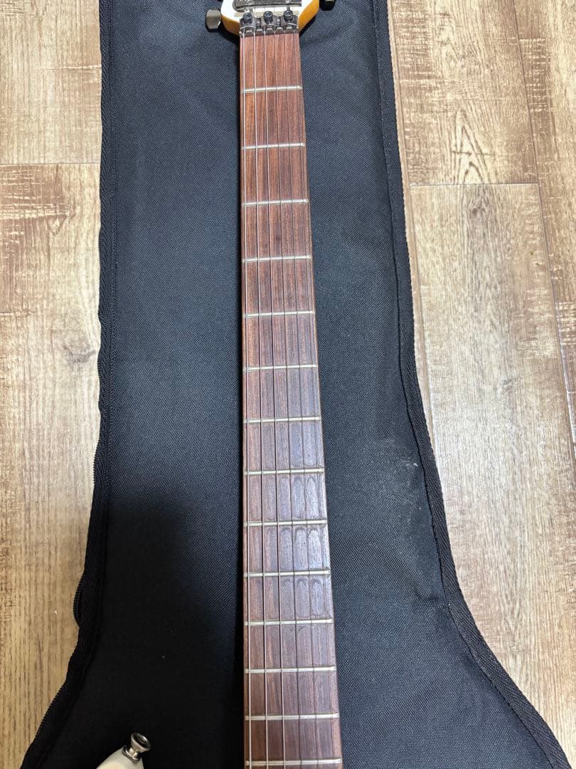 C*o様 Sago Seed Kotetsu 和楽器バンド 町屋シグネチャーモデ