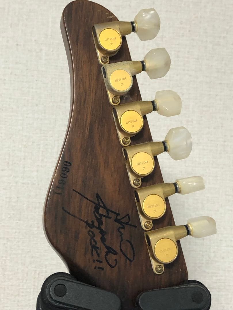 シェクター　イケベオリジナルモデル