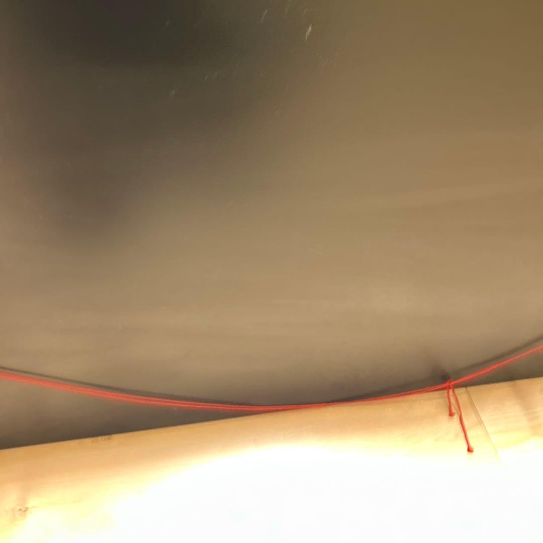 金色の牡丹 日本画 礼徳