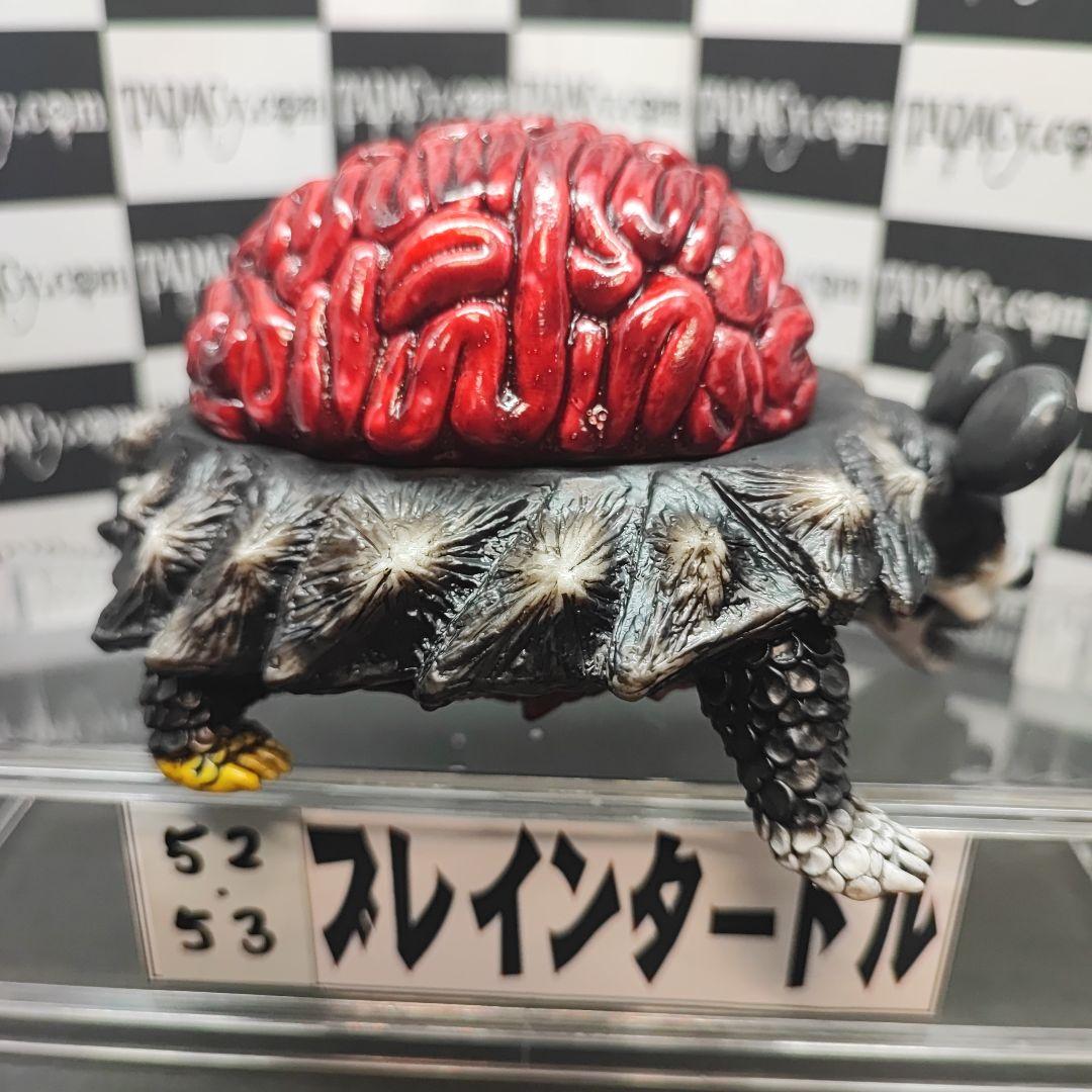 52.53ブレインタートル2体セット
