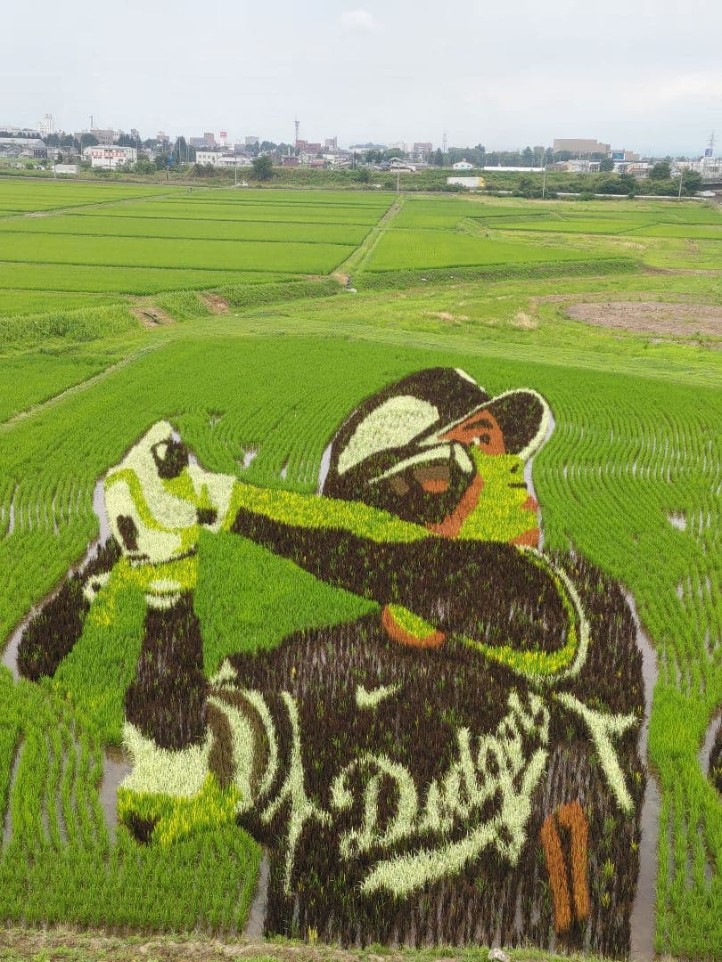 令和７年新蜜　日本みつばちの百花蜜　550ｇ✕4本（2.2㎏）