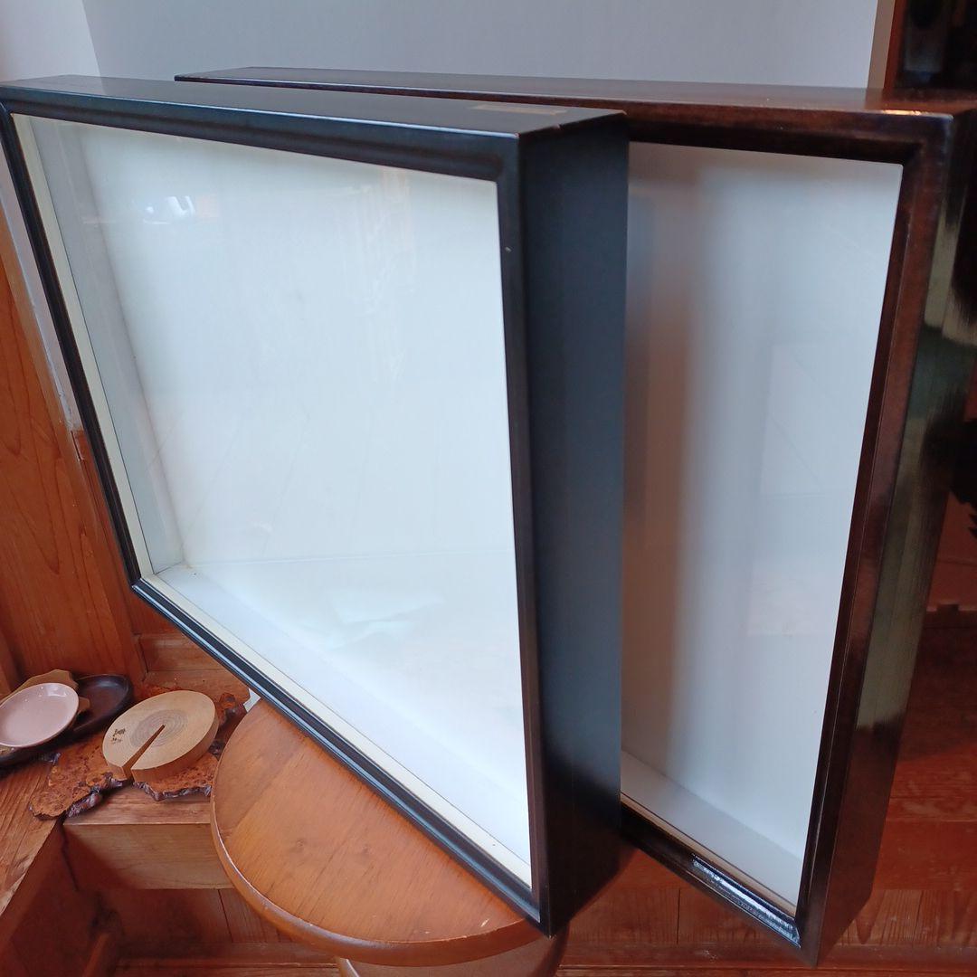 標本箱　ドイツ箱大型　2個セット