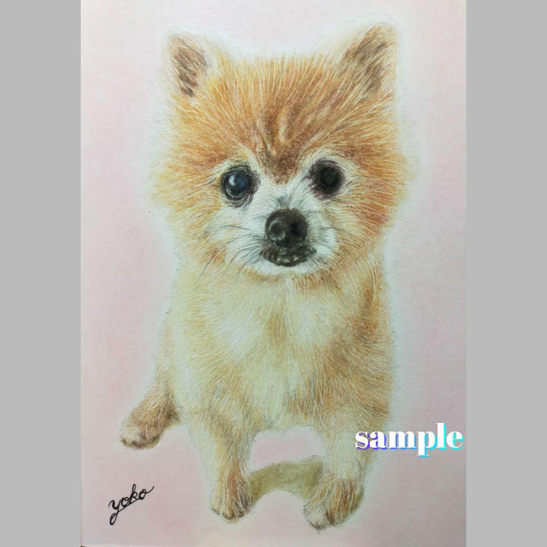 色鉛筆画✭愛猫愛犬✭ペット似顔絵　肖像画　イラスト　注文オーダー　受付ページ　1