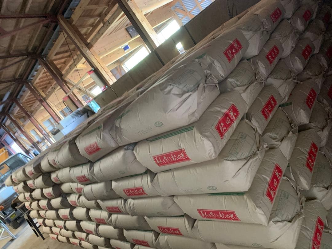 ★令和7年 ‪新米 ひとめぼれ 10kg 秋田県産 産地直送★