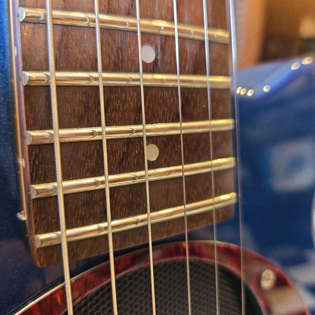 Pignose PGG-200 アンプ内蔵 ミニギター 訳あり　ピグノーズ