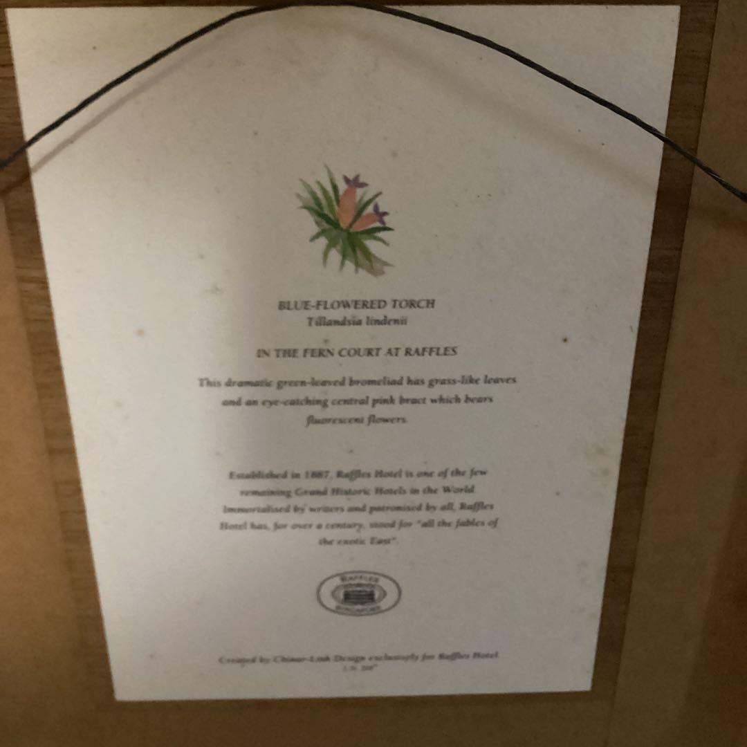 シンガポール　ラッフルズホテル　熱帯植物リトグラフ　額装仕立て