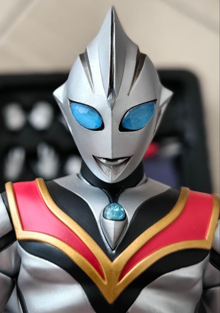 【改修品】S.H.Figuarts 真骨彫 イーヴィルティガ