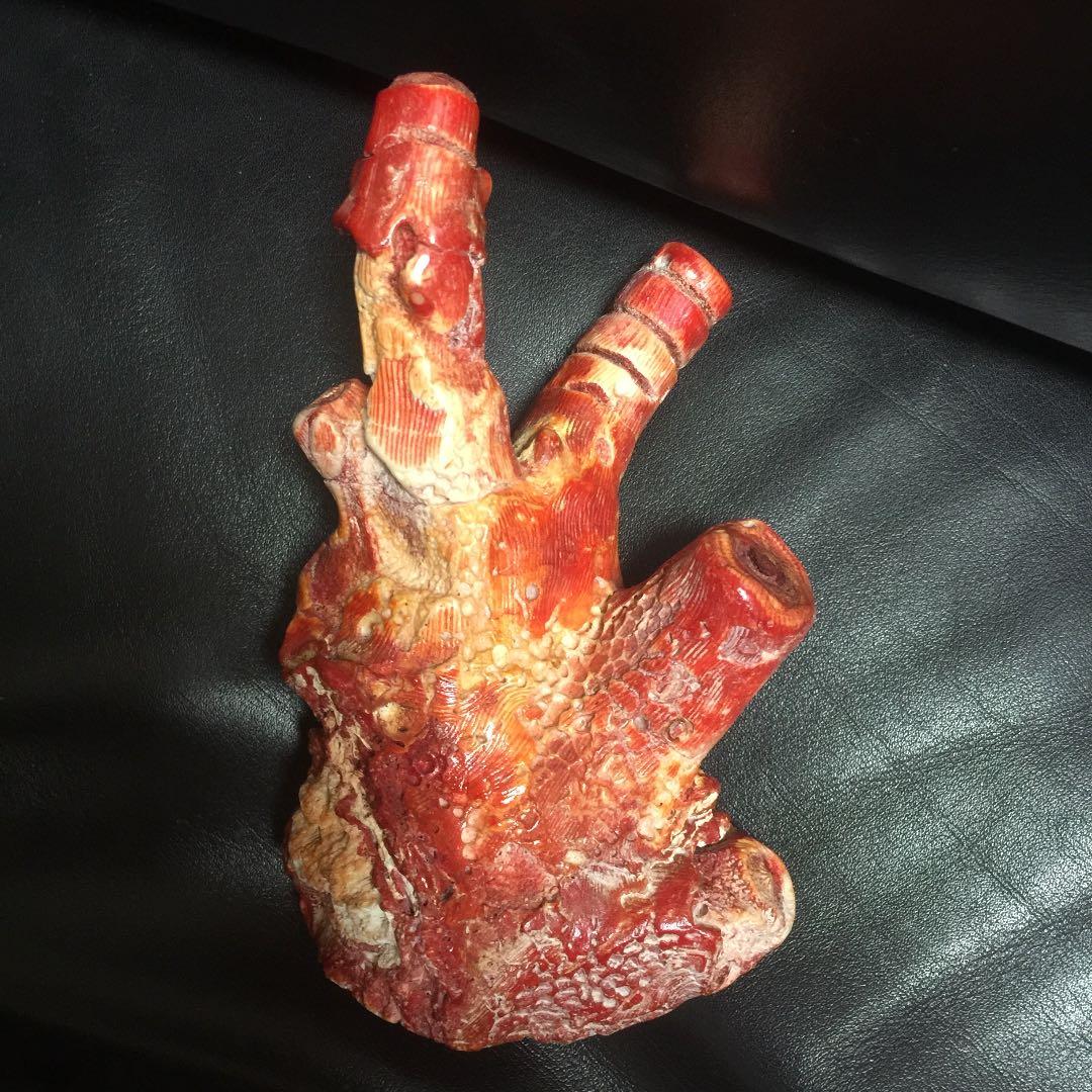 天然 紅珊瑚 504g