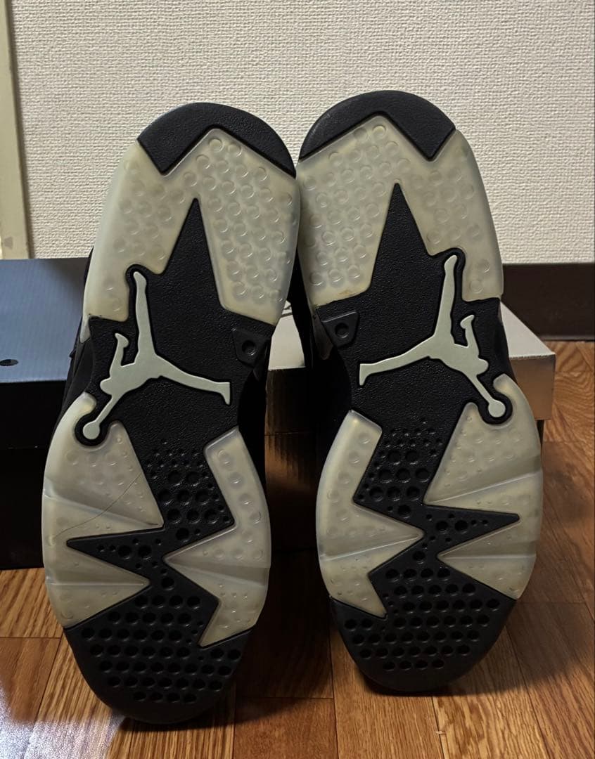 【タグ箱付】ナイキ エアジョーダン6 レトロ \"メタリックシルバー\"