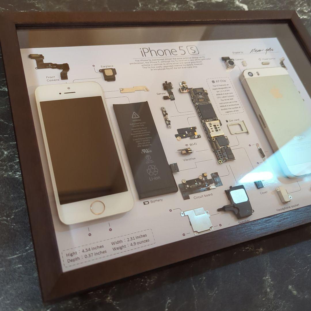 iPhone5s ゴールド 標本アート