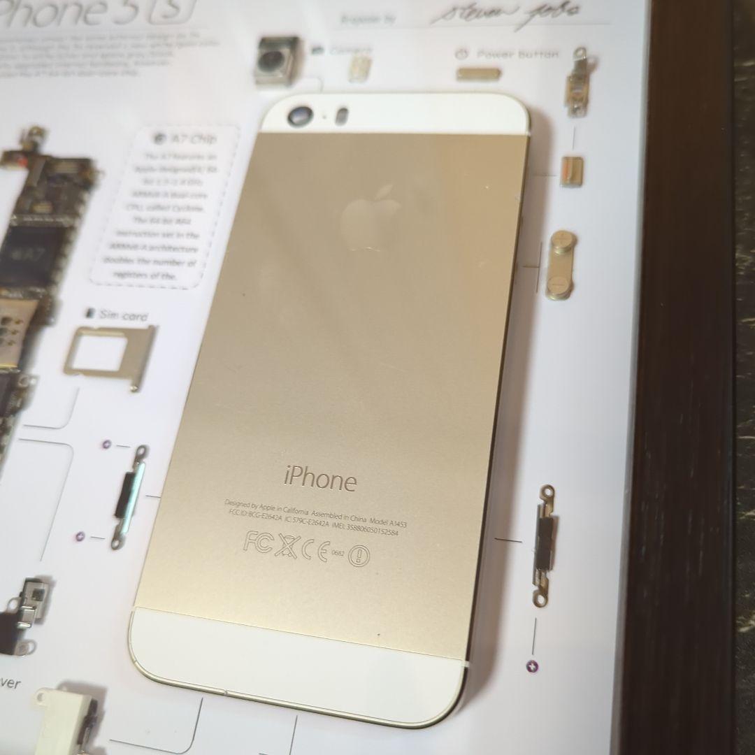 iPhone5s ゴールド 標本アート