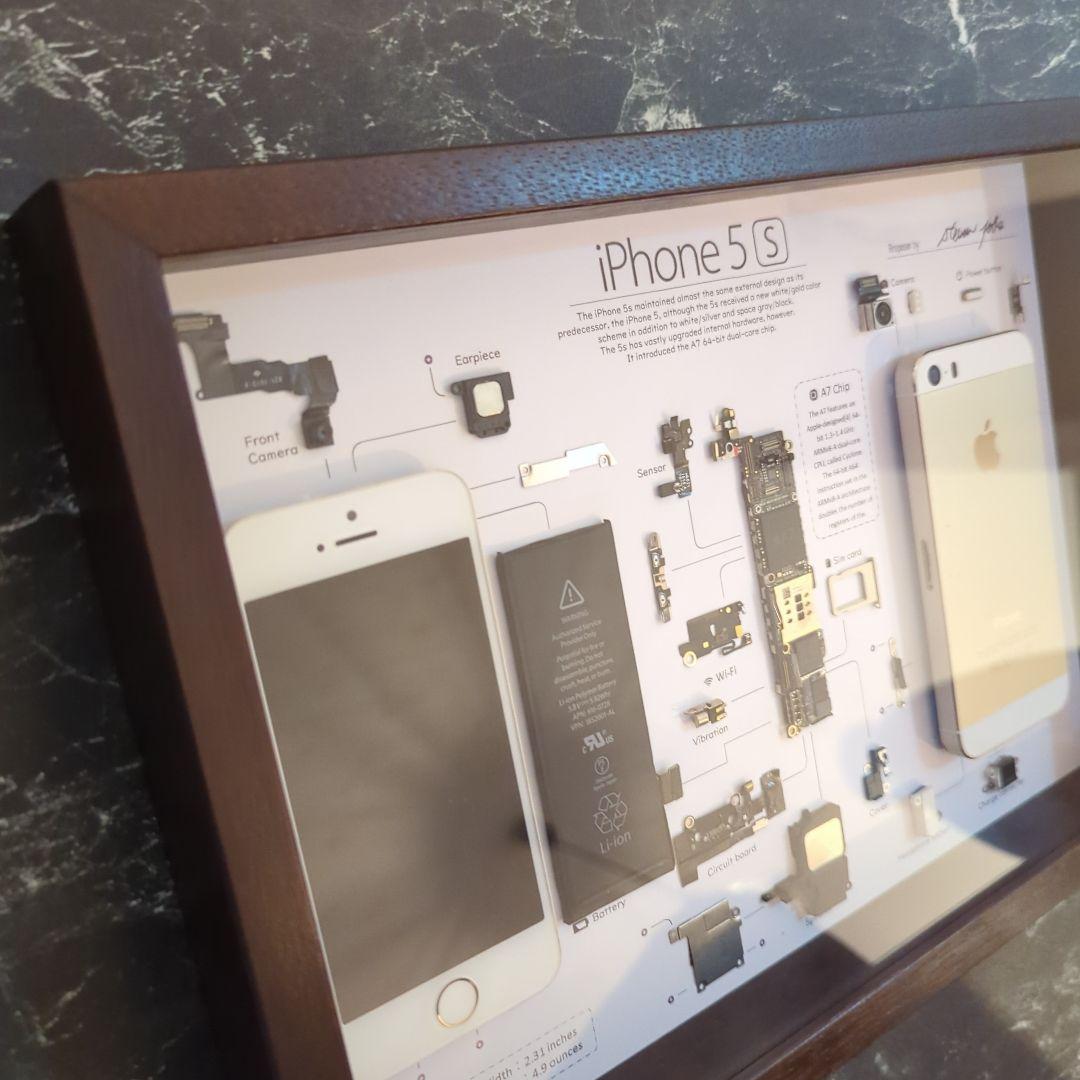 iPhone5s ゴールド 標本アート