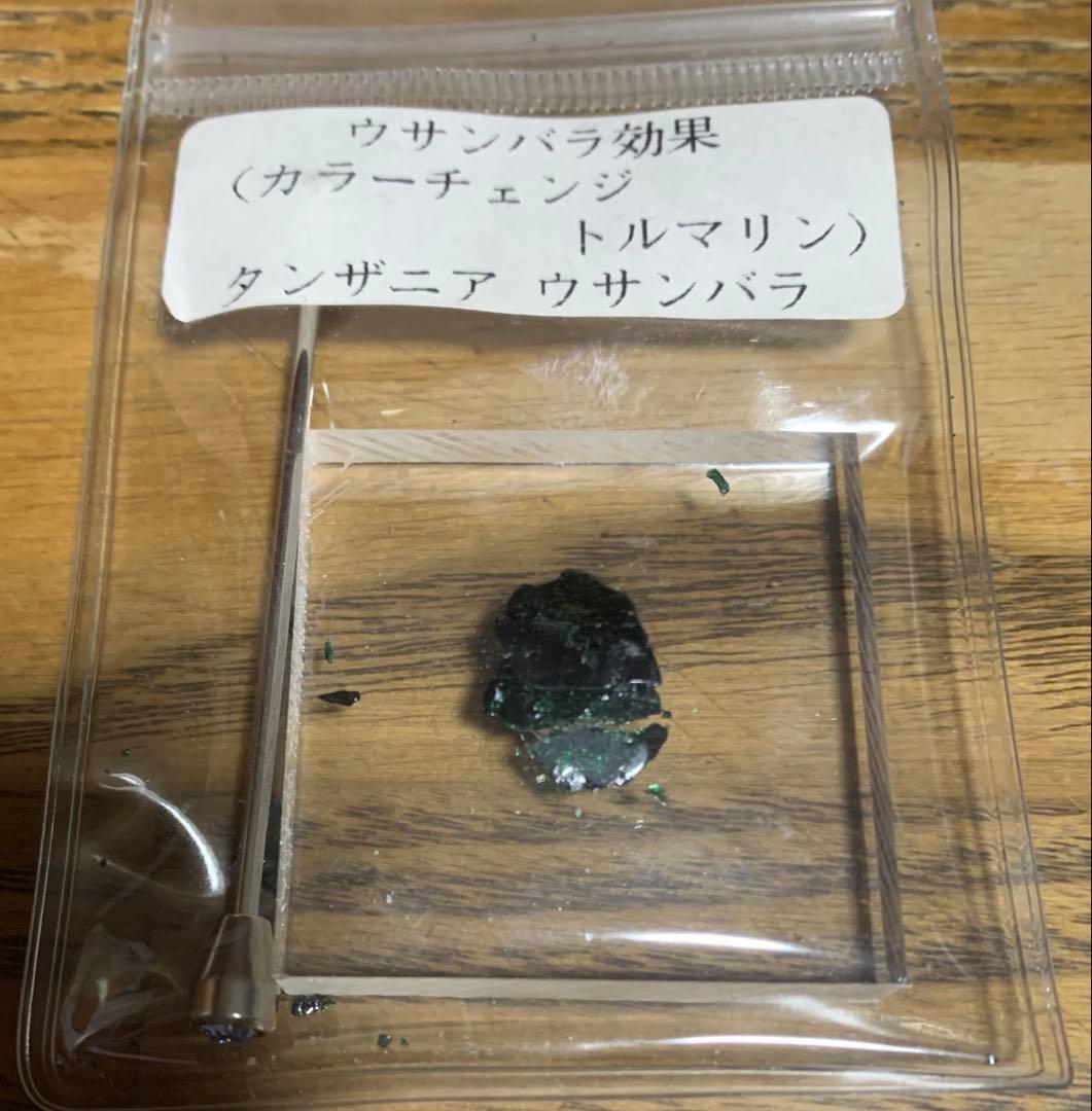 化石　三葉虫　アンモナイト　シェルオパール　メガロドンの歯