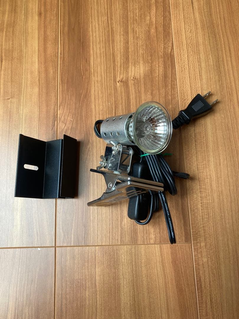 グラステラリウム爬虫類飼育セット　おまけ盛りだくさん（写真に写ってるものすべて）