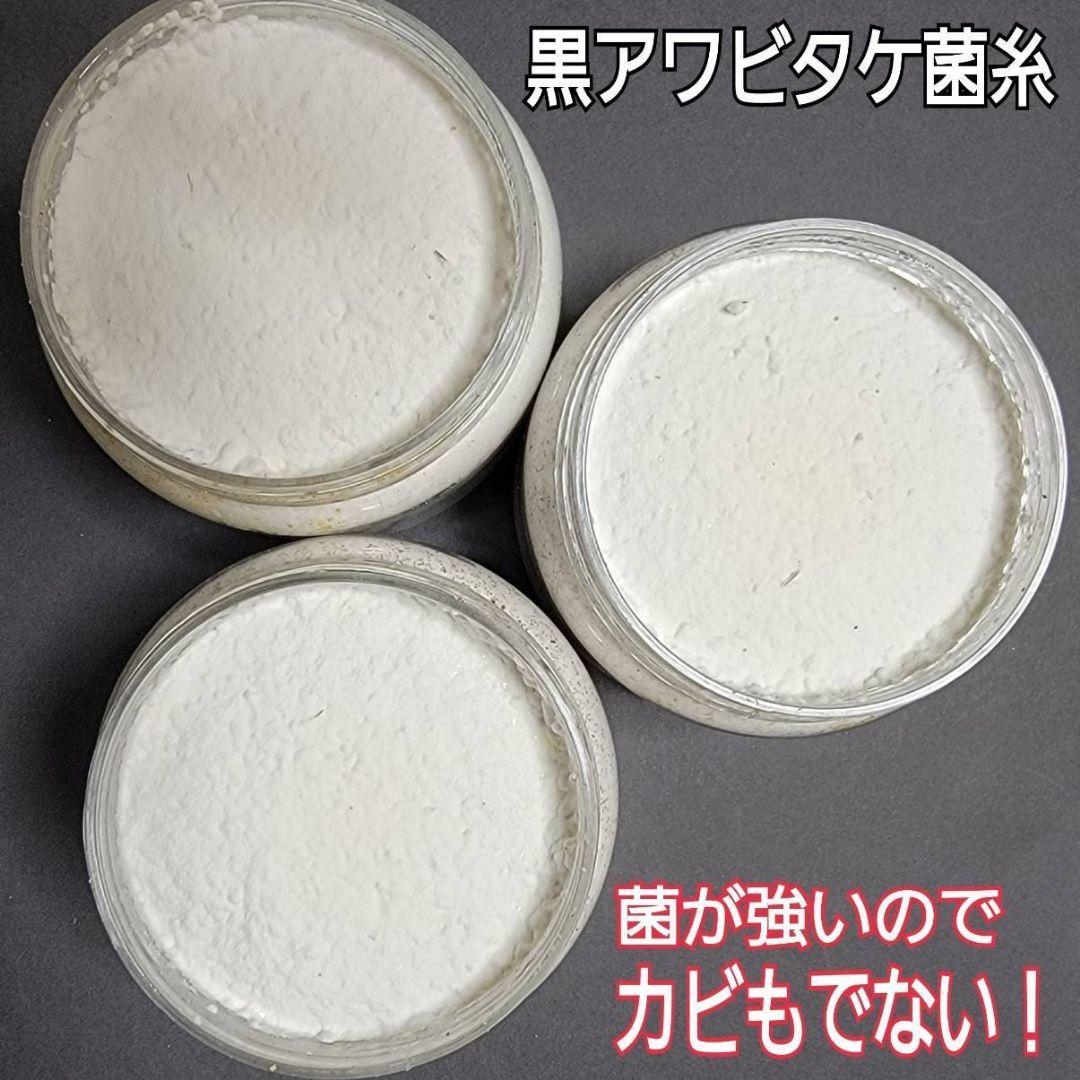 極上！黒アワビタ菌糸瓶【8本】初令、2令に最適な500ml☆小型の色虫にもお薦め