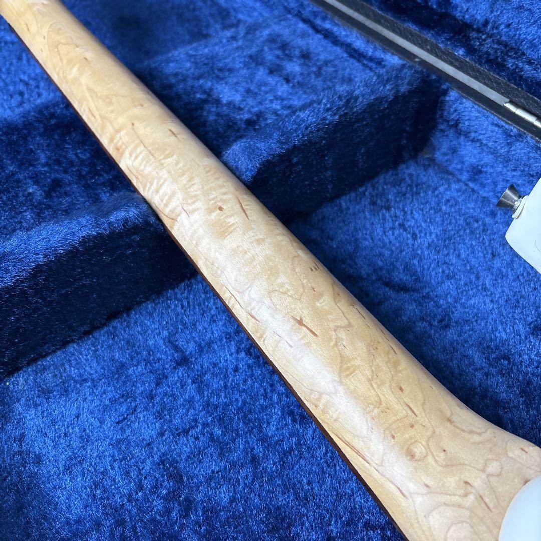 スティーブヴァイ　モンキーグリップ　アイバニーズタイプ