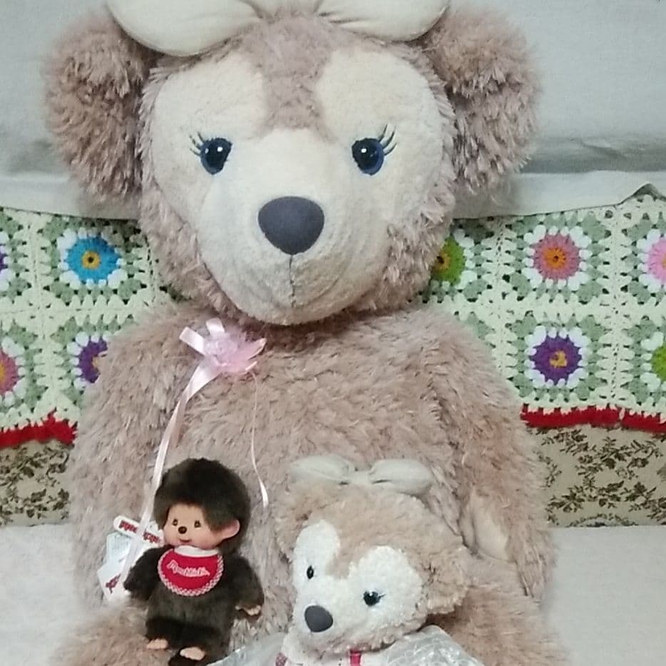 デズニーランド、くま、クマ、ディベアーフワフワ、 ぬいぐるみ、ビック