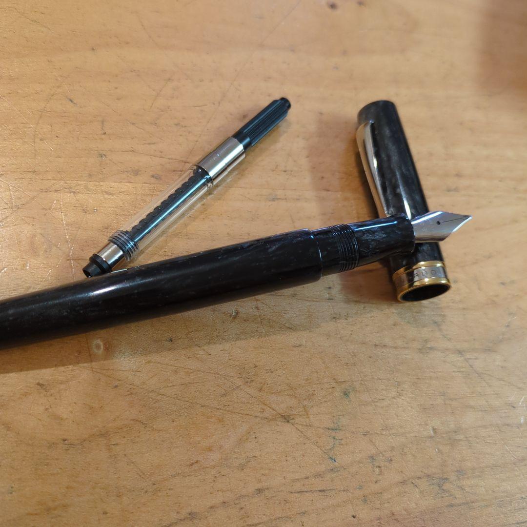 万年筆 　LEONARDO ノスタルジア エテルニタグレー　日本限定モデル