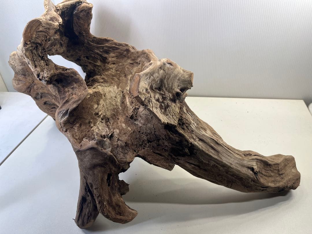 R72特大流木アク抜き済み流木 爬虫類シェルター 登り木 インテリア 生け花