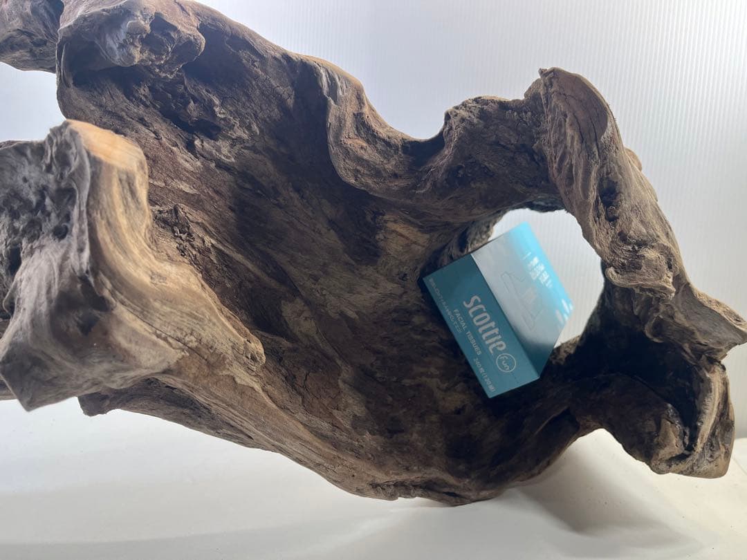 R72特大流木アク抜き済み流木 爬虫類シェルター 登り木 インテリア 生け花