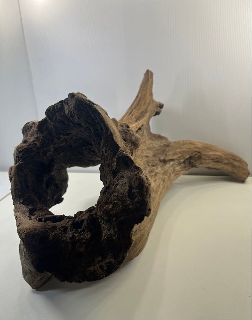 R72特大流木アク抜き済み流木 爬虫類シェルター 登り木 インテリア 生け花