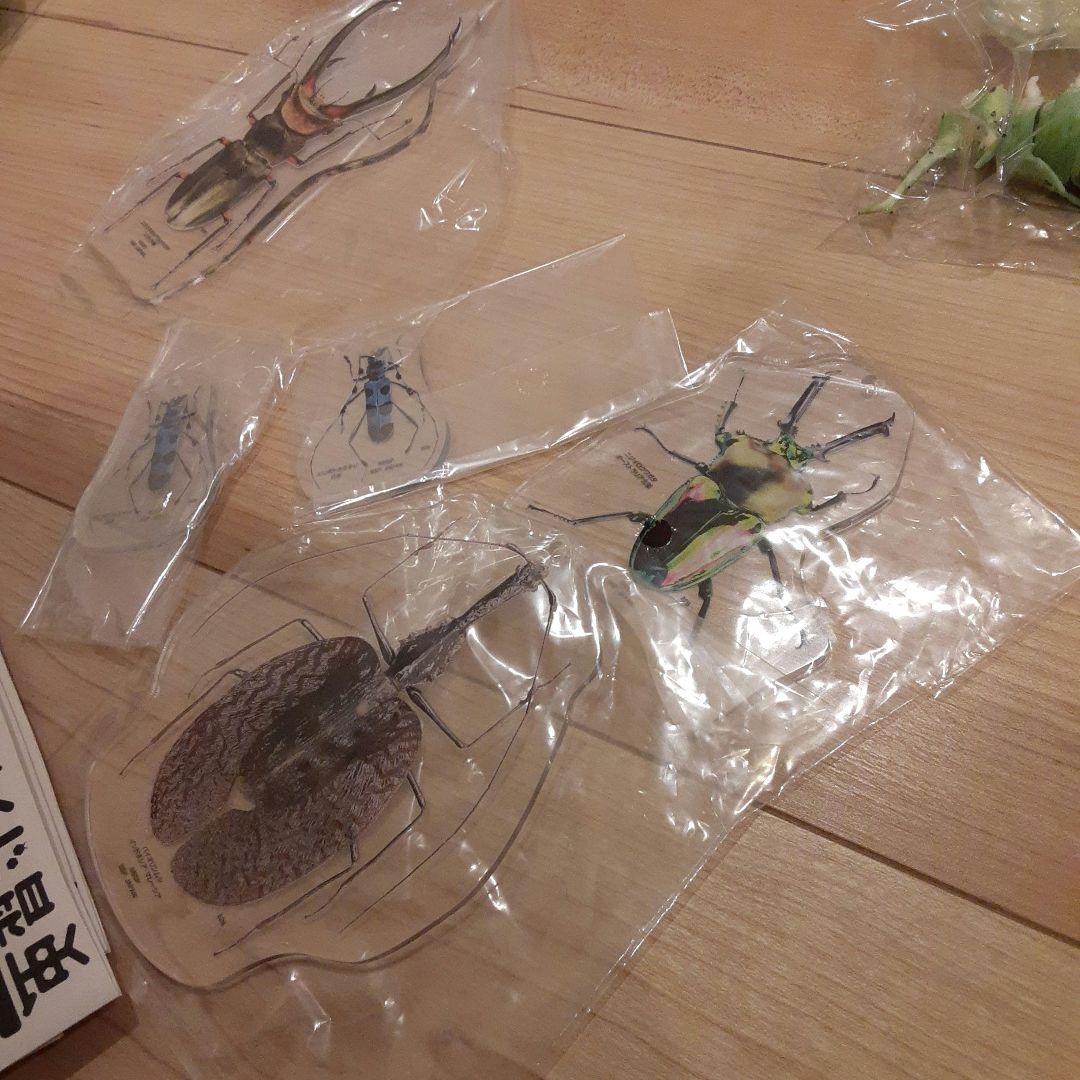 イモムシガチャ　昆虫アクリルキーホルダー