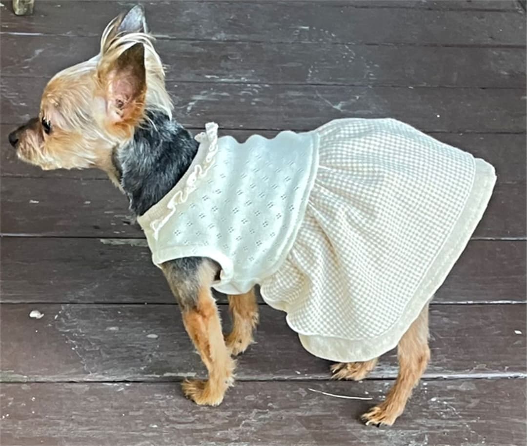 ハンドメイド犬服　ナチュラルカラーのエプロンドレス★袖付可能