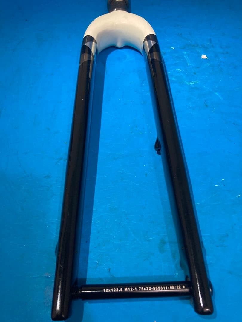 ◻️Trek Checkpoint ALR 5 フルカーボンフロントフォーク