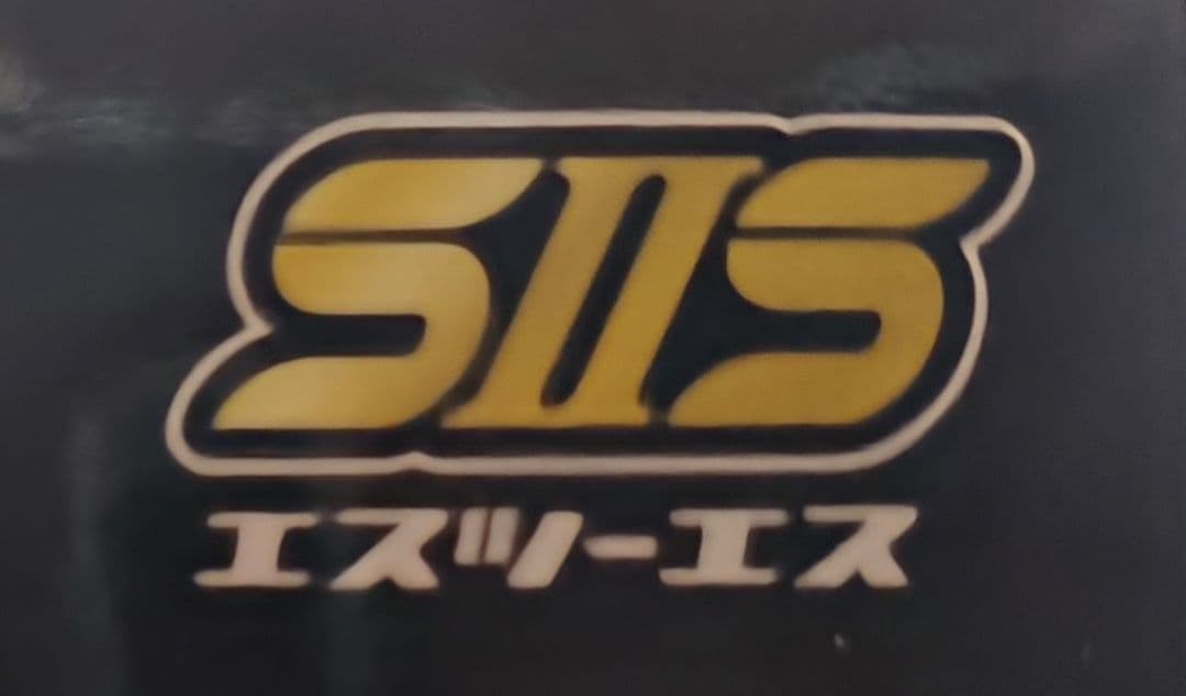 ごっち　S2S　エスツーエス　P99　カスタム　改修品　10禁