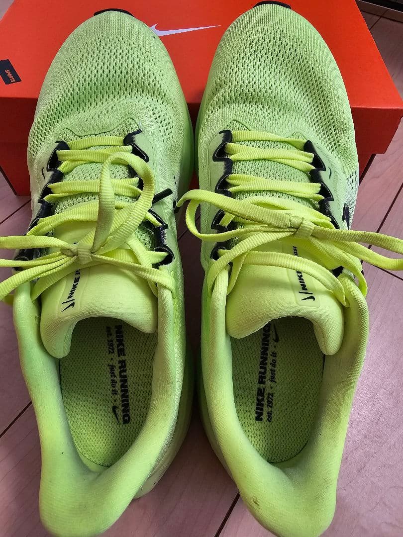 ナイキ　ペガサス41　ボルトカラー　28.0cm