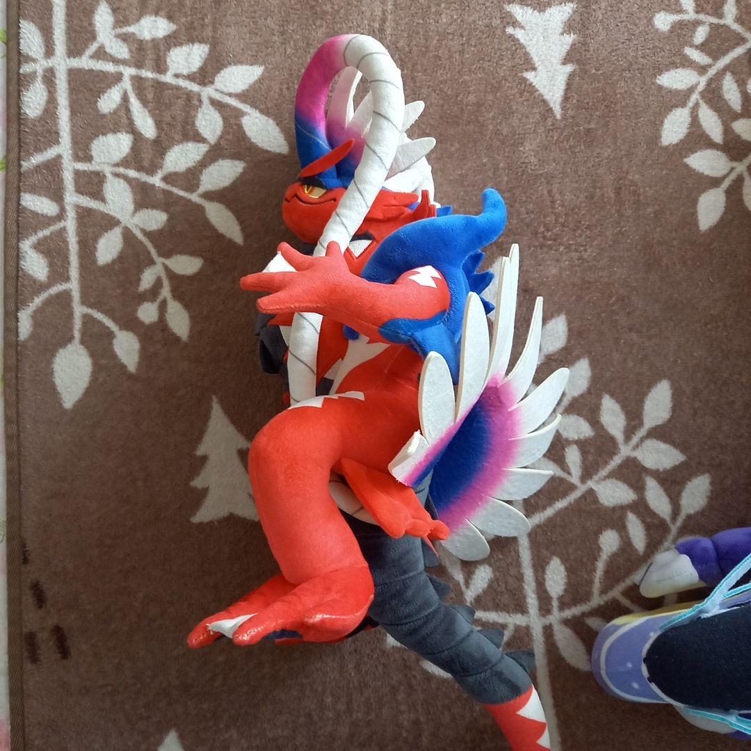 ポケモン　ミライドン＆コライドン　約３０センチ