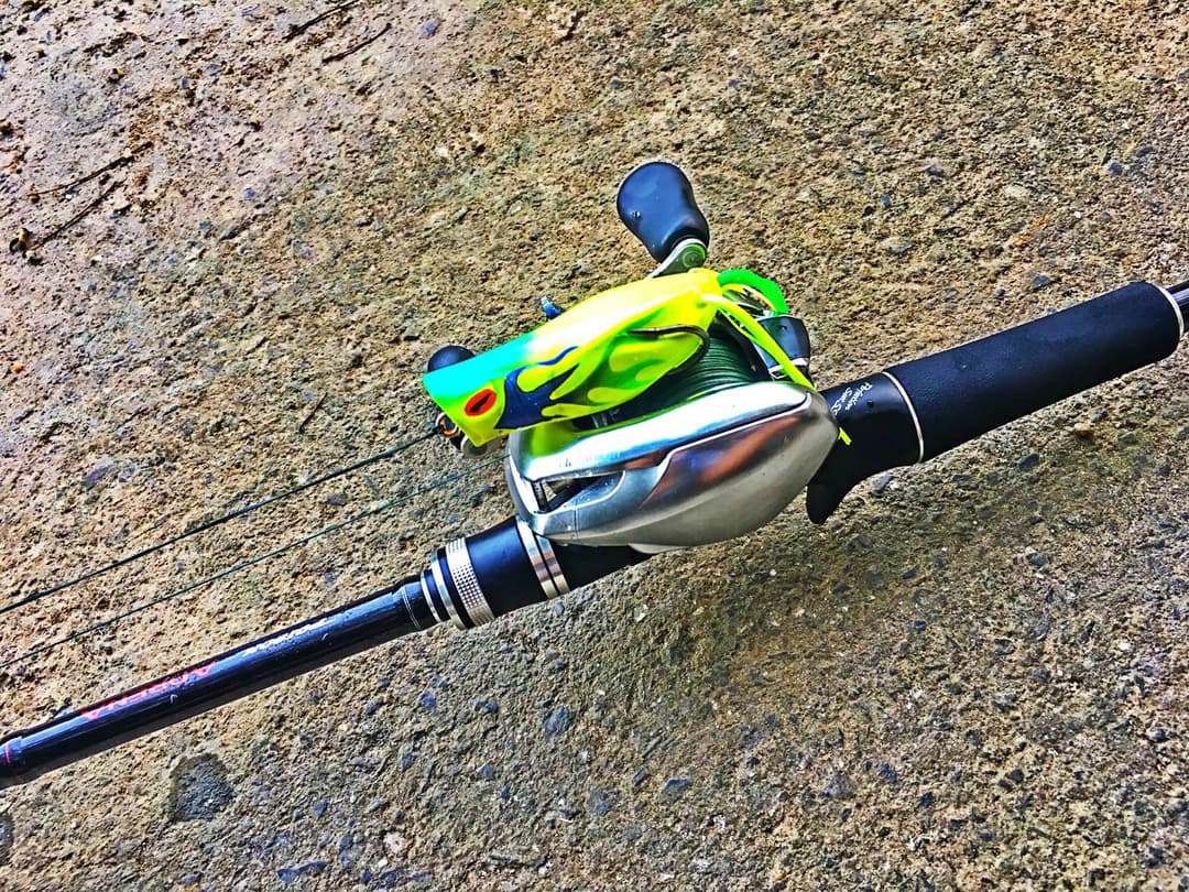 フロッグセット