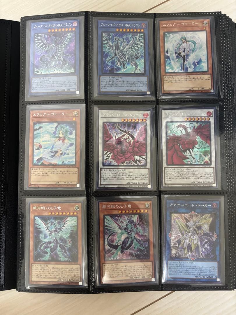 quartercenturyartcollection シクレアコンプファイル